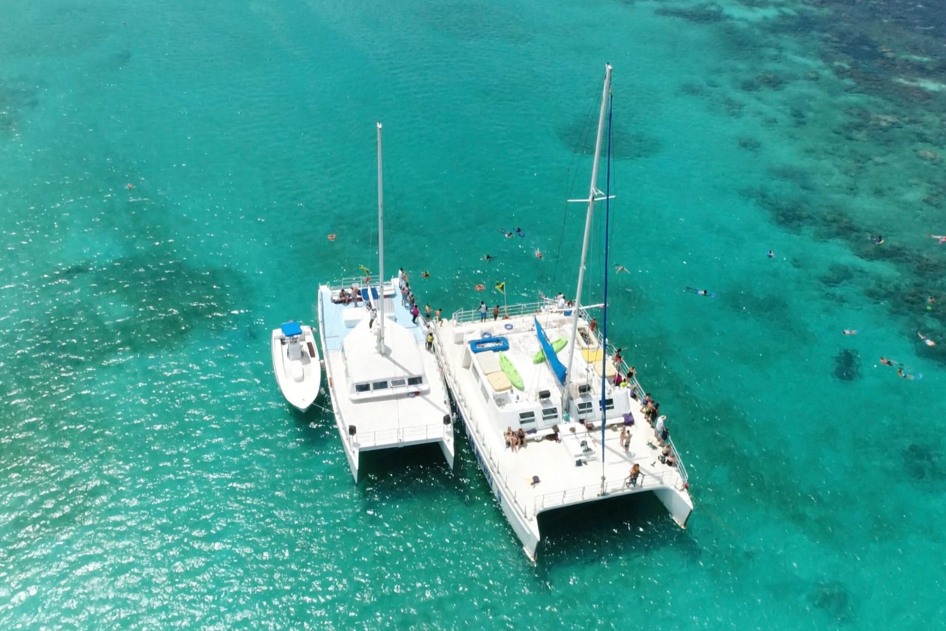 Daytime Catamaran Cruise